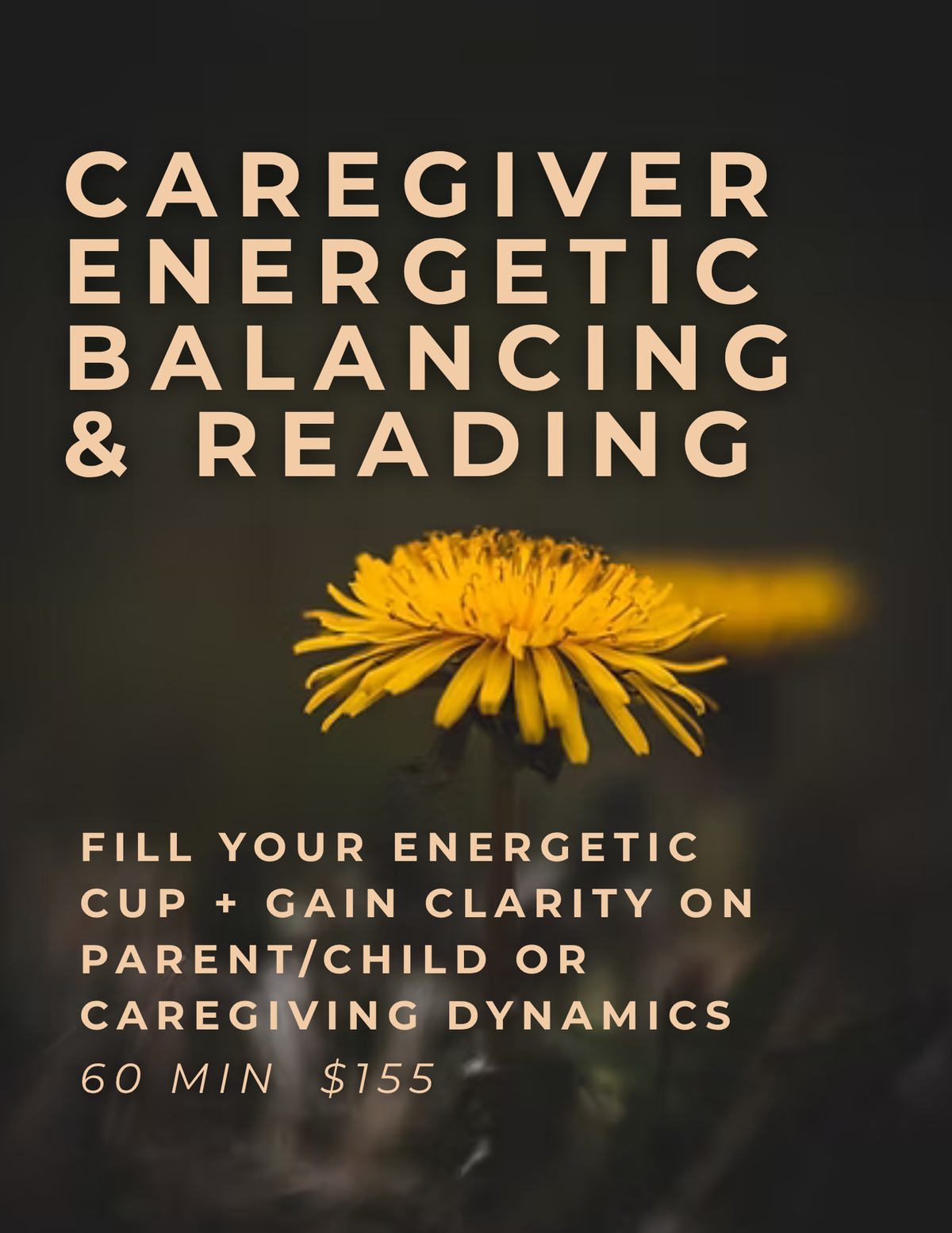 Caregiver Energetic Balancing & Reading
