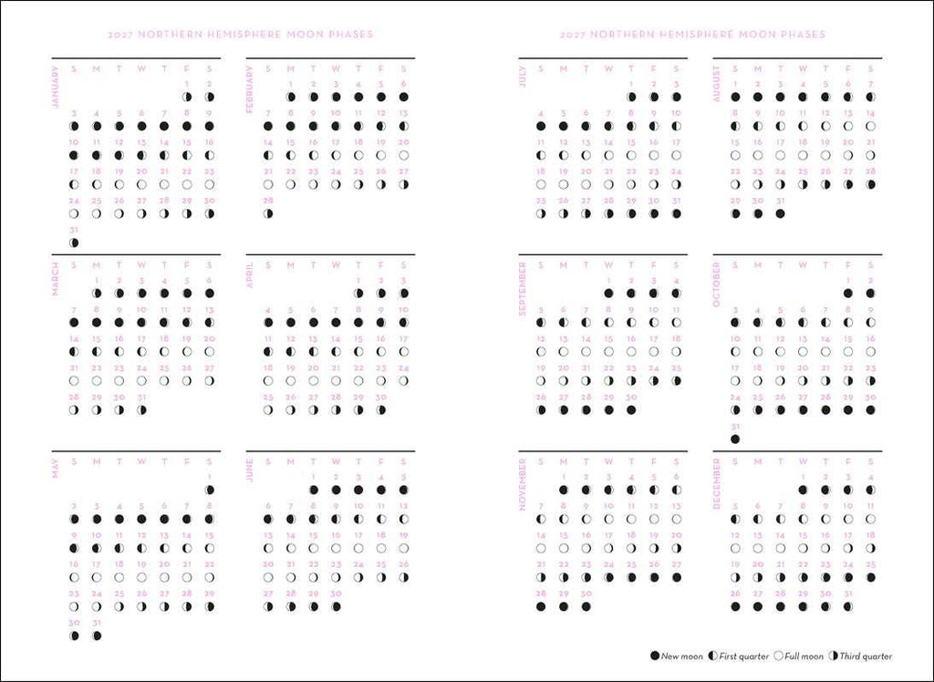 2027 Astrology Planner Calendar - Northern Hemisphere by Patsy  Bennett
