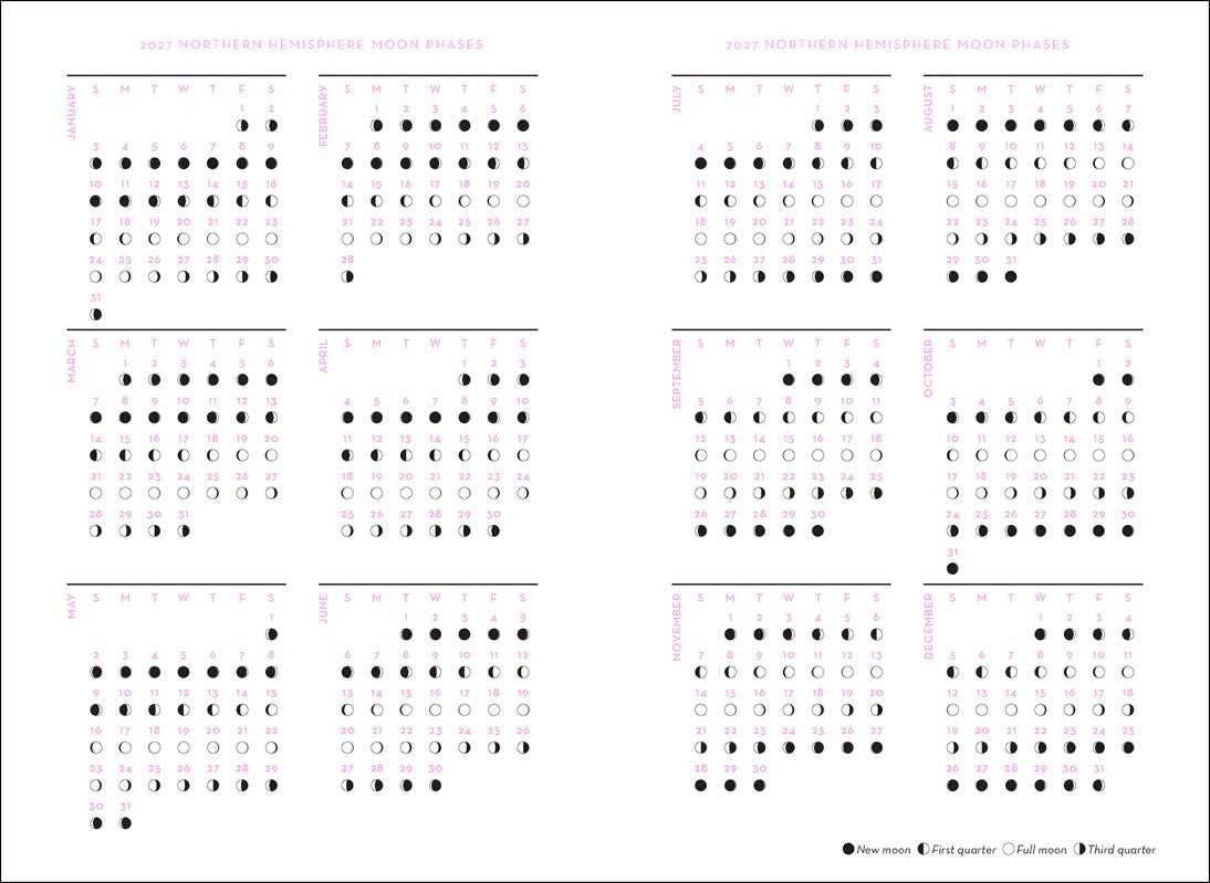 2027 Astrology Planner Calendar - Northern Hemisphere by Patsy  Bennett