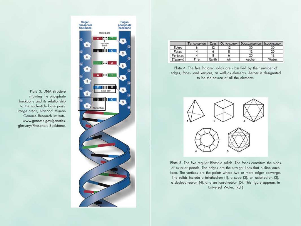 Activating Our 12-Stranded DNA by Ruslana Remennikova