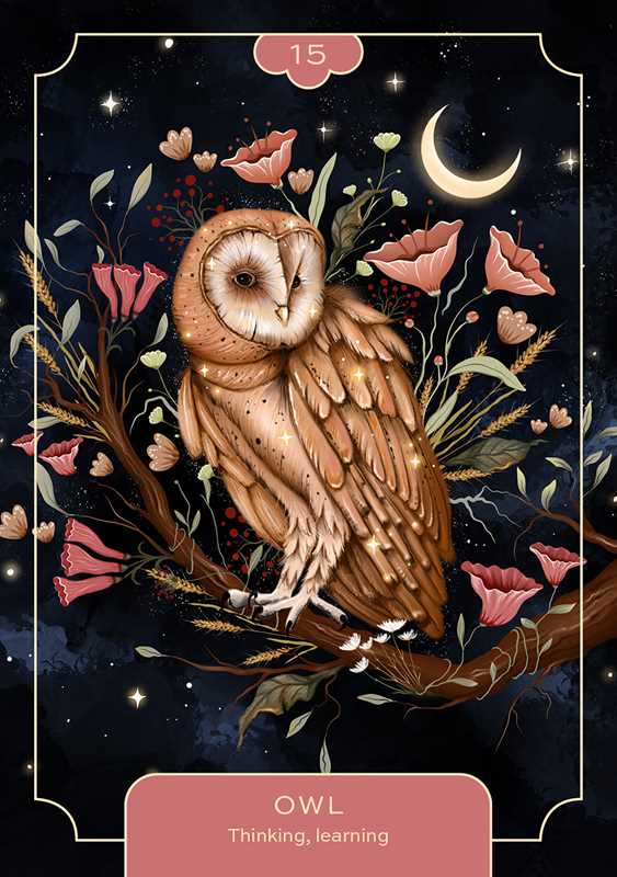 Animal Spirit Oracle by Lea  Androic