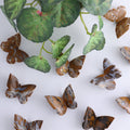 Brecciated Jasper Butterfly