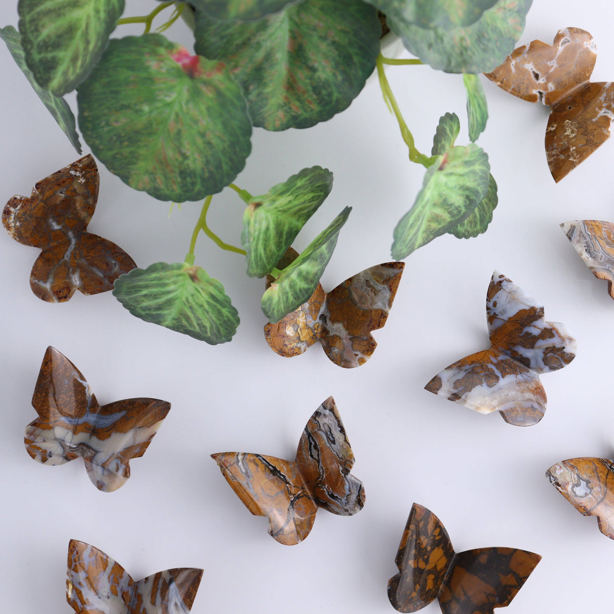 Brecciated Jasper Butterfly