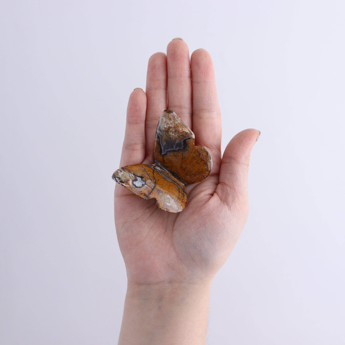 Brecciated Jasper Butterfly