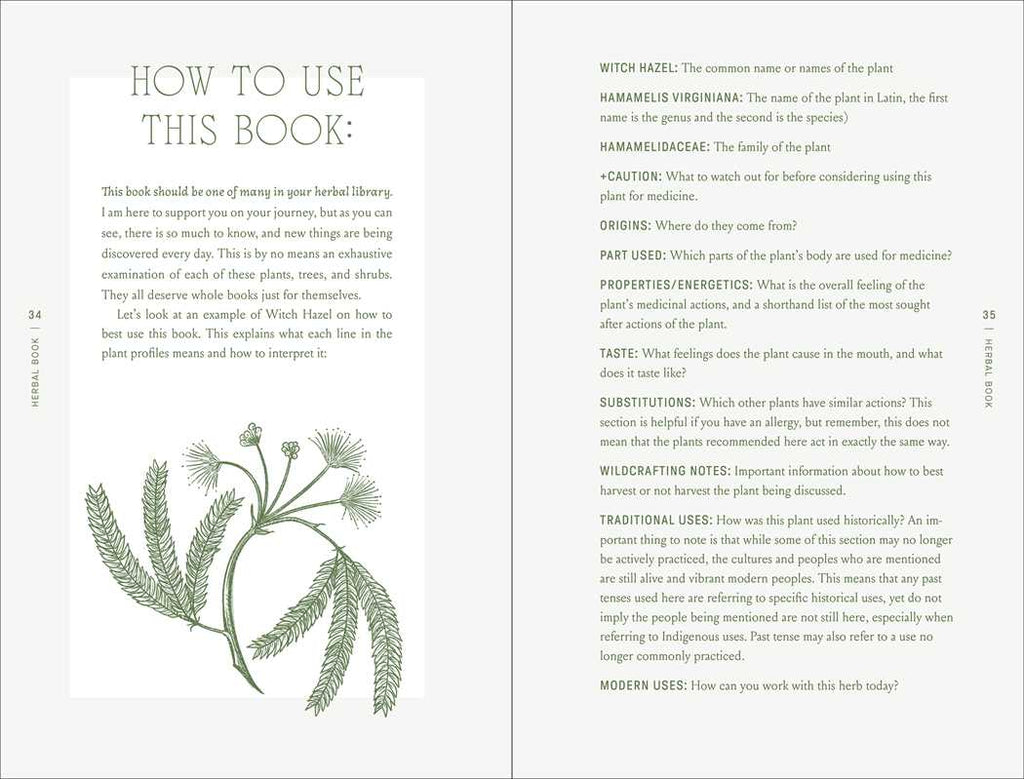 Complete Folk Herbal by Rebecca Beyer