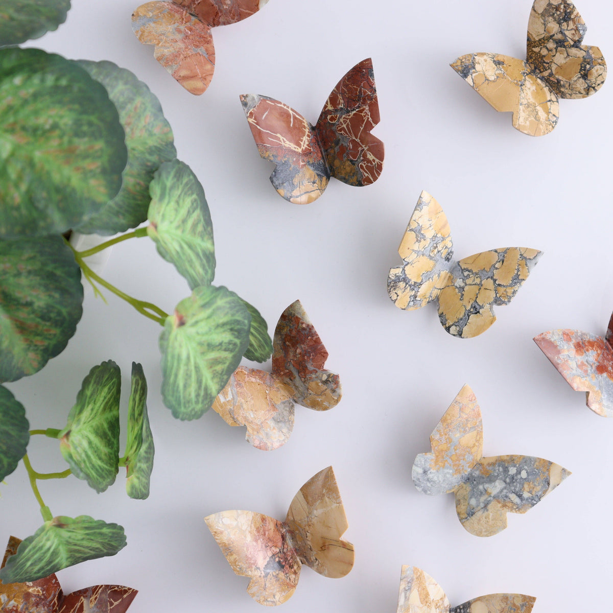 Maligano Jasper Butterfly
